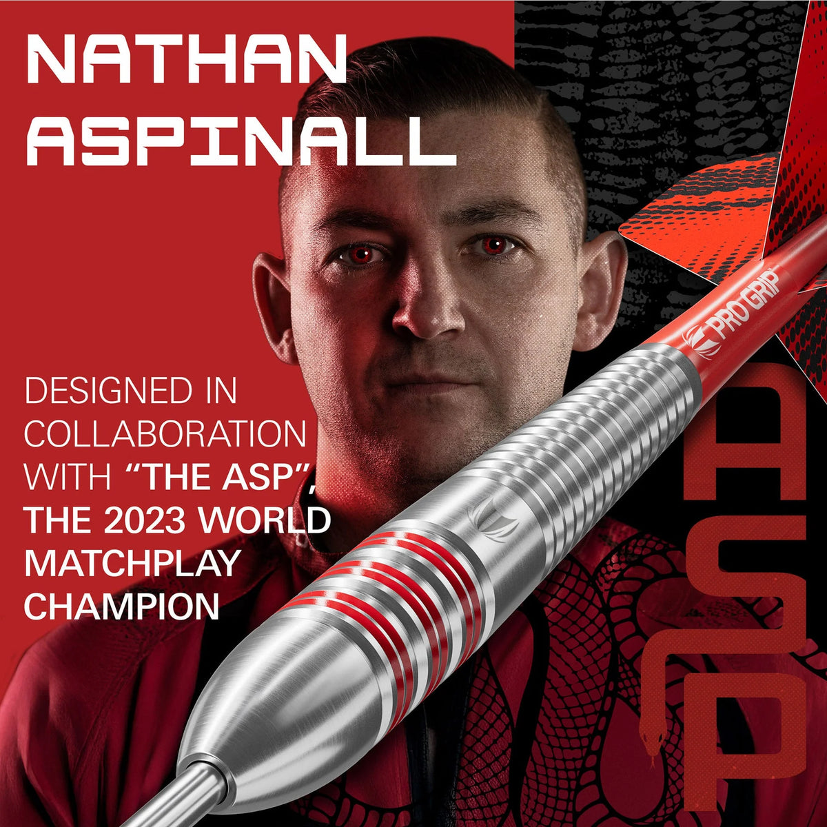 Target Nathan Aspinall The ASP 22 Piece Dart Set - Maltby Sports