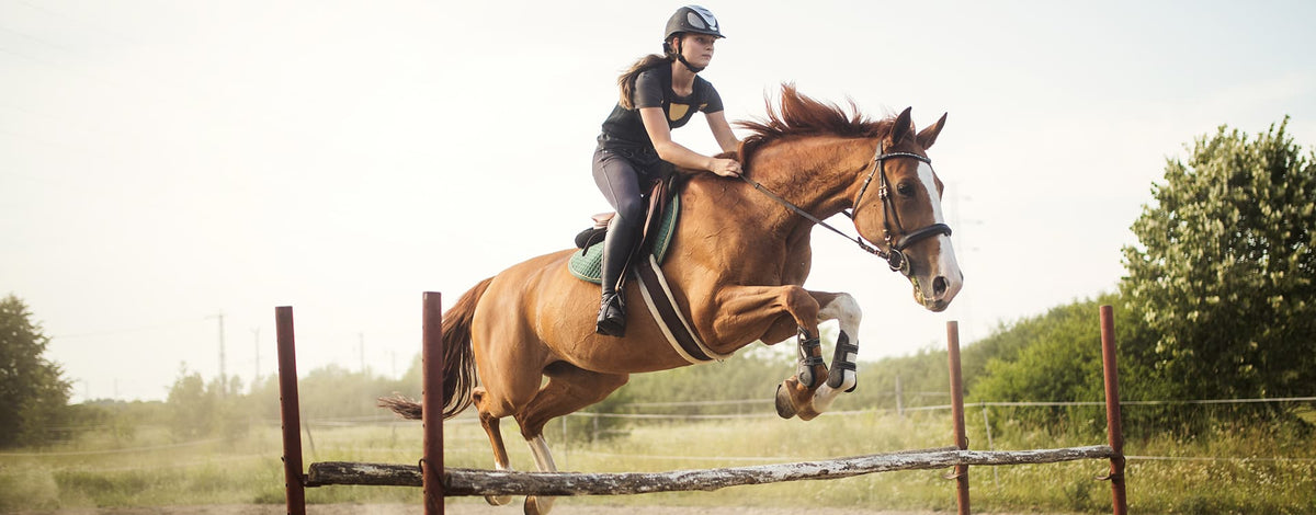 Equestrian