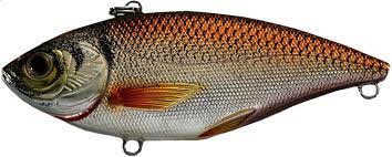 Golden Shiner Rattlebait - Maltby Sports